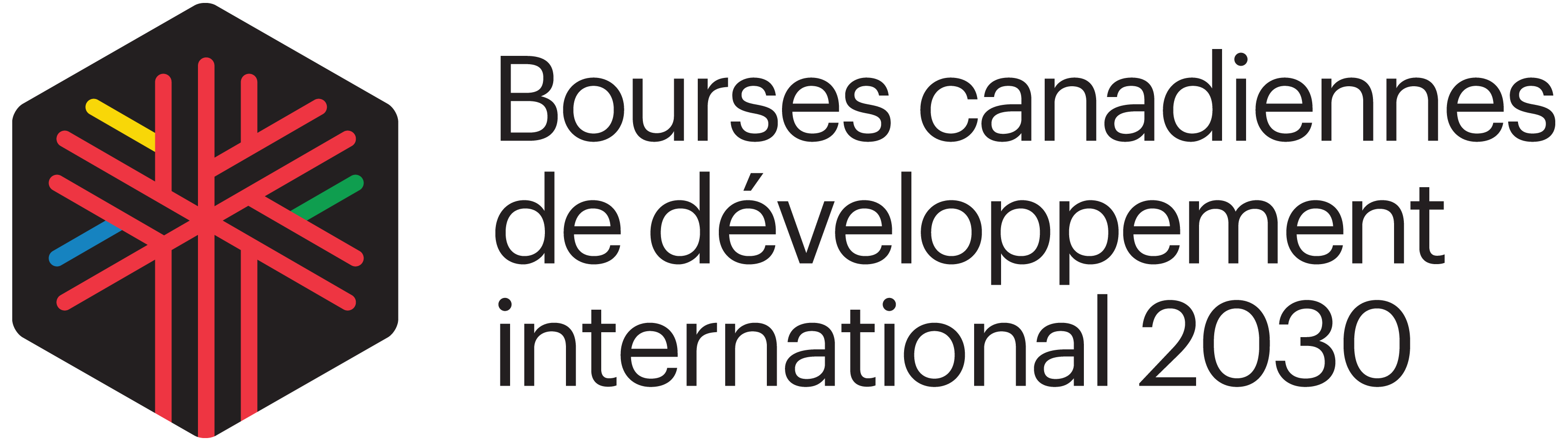 Bourses canadiennes de développement international 2030 (BCDI 2030)