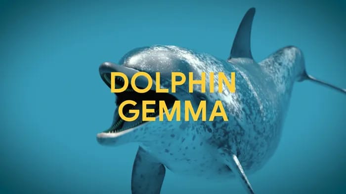 Google mise sur l’intelligence artificielle pour parler avec les dauphins
